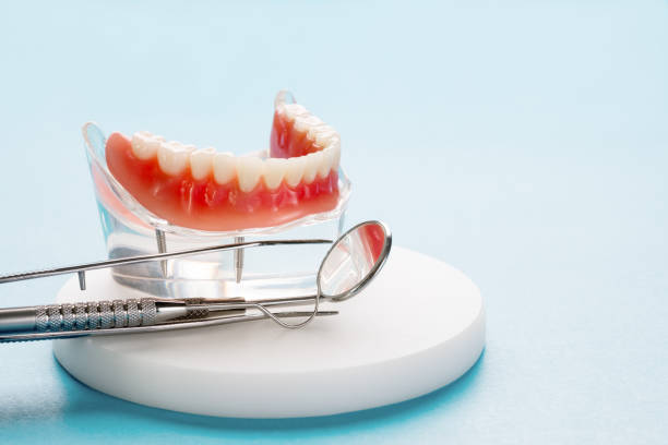 Trusted East Palestine, OH Holistic Dental Care Services Experts